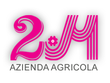 2M AZIENDA AGRICOLA